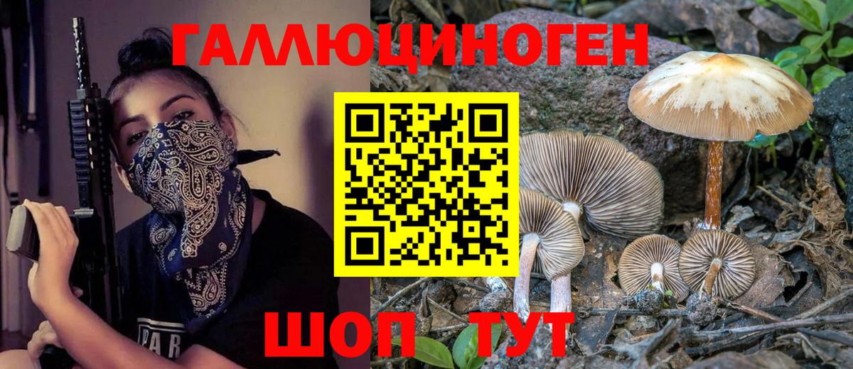 Псилоцибиновые грибы GOLDEN TEACHER Мурино