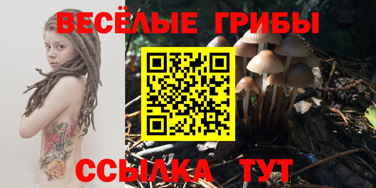Мурино  хочу   Вход с VPN  Псилоцибиновые грибы MAGIC MUSHROOMS 